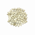 Nouvelle récolte délicieuse collation 11 mm graine de citrouille blanche comme neige avec la meilleure qualité